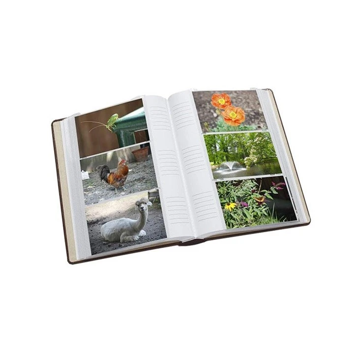 albums